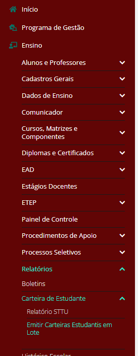 lote-menu.png