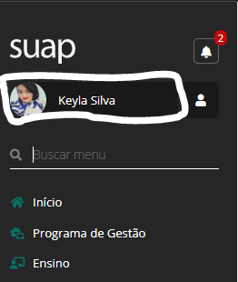 Tela com o perfil do docente